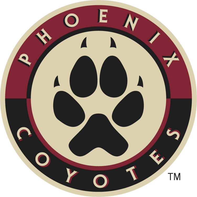 Phoenix Coyotes 2008-2014 Alternate Logo t shirts DIY iron ons